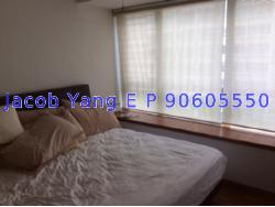 Blk 515C The Premiere @ Tampines (Tampines), HDB 5 Rooms #10689442